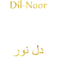 dil--nooor2