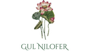 Gul Nilofer